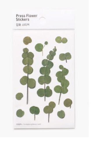 유칼립투스 압화 스티커 | 어프리 appree: Press flower stickers_Eucalyptus