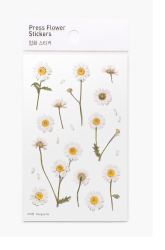 마가렛 압화 스티커 | 어프리 appree: Press flower stickers_Marguerite
